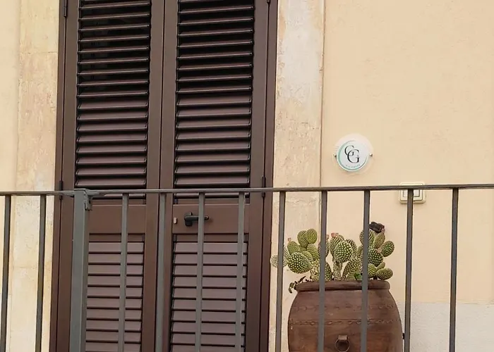 14 16 Dimorag&g * שיקלי